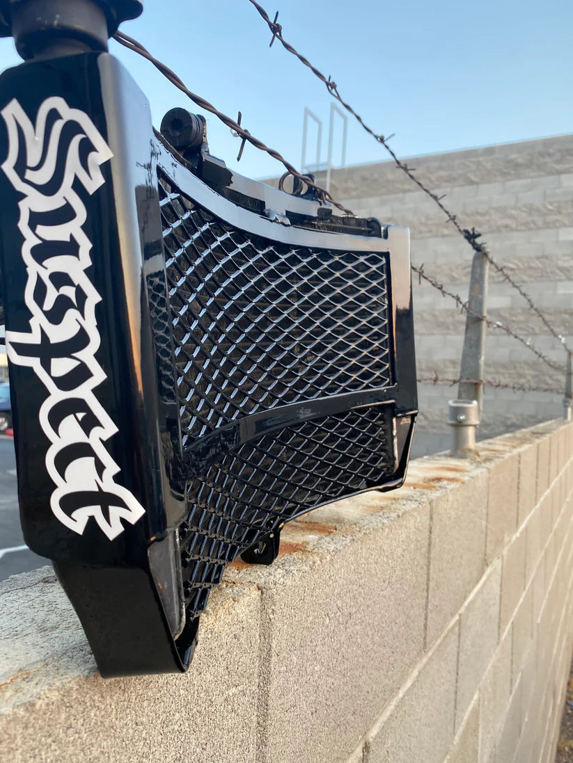 Suspect 09-17 R1 Radiator Support