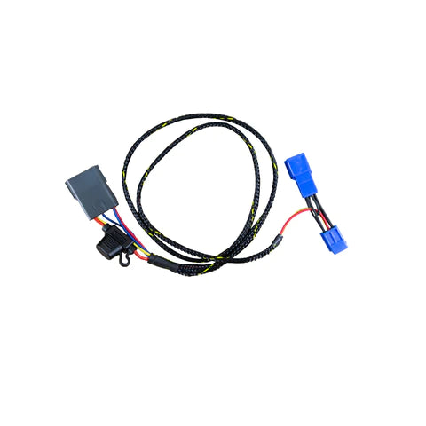 Keyswitch Elimination Harness - Triumph