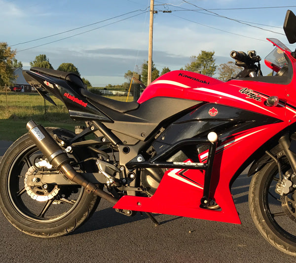 08+ Ninja 250/300 Cage