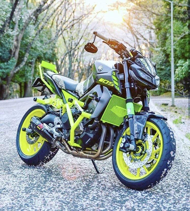 14-20 FZ09 / MT09 Full Stunt Cage - Impaktech