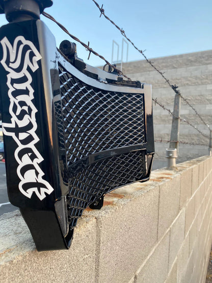 Suspect 07-18 600RR Radiator Support