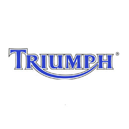 Keyswitch Elimination Harness - Triumph