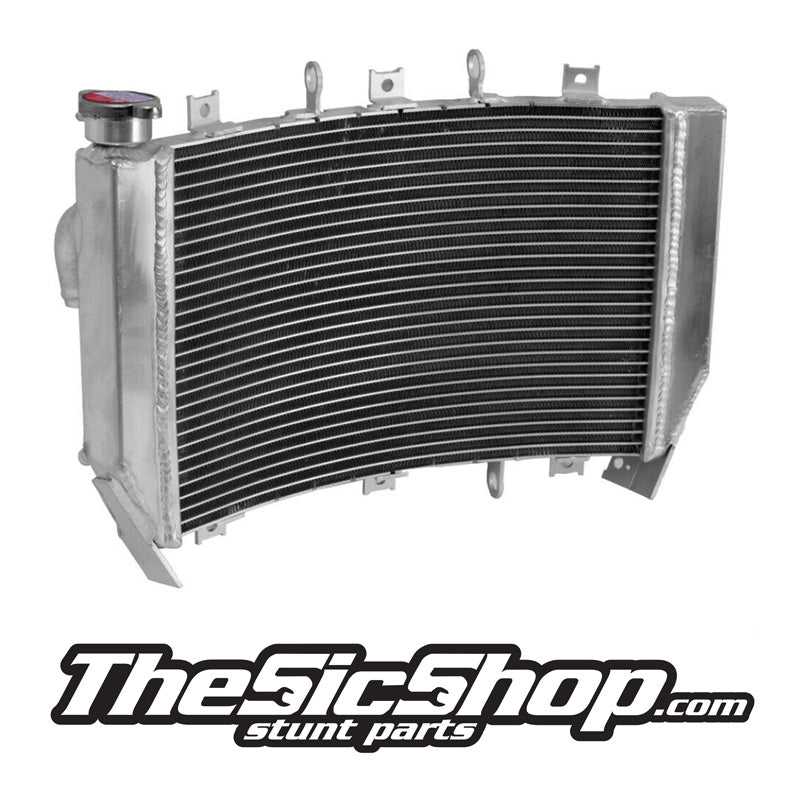 Cage Over Radiator Radiator / Cages / Cooling – The Sic Shop LLC